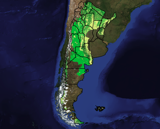 Bosques nativos de Argentina